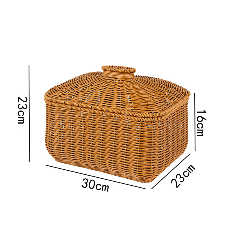 PTLZ39515_5.jpg